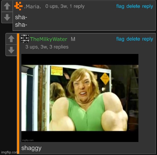 made w/ Imgflip meme maker
