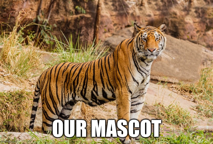 Mascot | OUR MASCOT | made w/ Imgflip meme maker