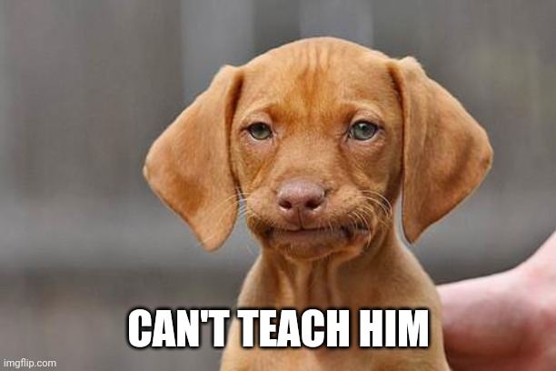 Dissapointed puppy | CAN'T TEACH HIM | image tagged in dissapointed puppy | made w/ Imgflip meme maker