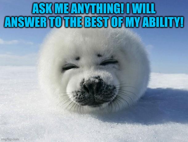 Seal Of Approval | ASK ME ANYTHING! I WILL ANSWER TO THE BEST OF MY ABILITY! | image tagged in seal of approval | made w/ Imgflip meme maker