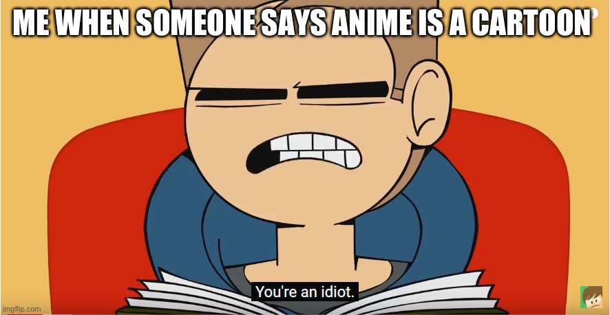 Made this for fun | ME WHEN SOMEONE SAYS ANIME IS A CARTOON | image tagged in you're an idiot | made w/ Imgflip meme maker