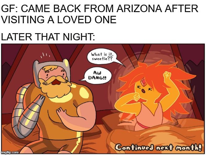 Welcome Back | GF: CAME BACK FROM ARIZONA AFTER
VISITING A LOVED ONE; LATER THAT NIGHT: | image tagged in hot morning,adventure time,relatable,arizona | made w/ Imgflip meme maker