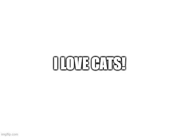 I LOVE CATS! | made w/ Imgflip meme maker