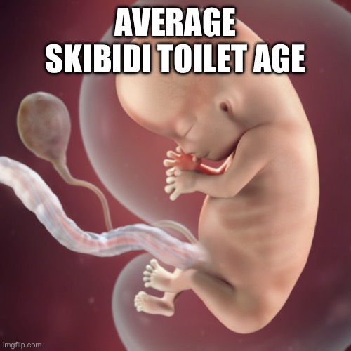 10 Week Fetus | AVERAGE SKIBIDI TOILET AGE | image tagged in 10 week fetus | made w/ Imgflip meme maker