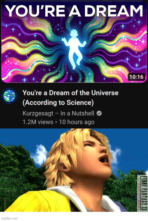You're a Dream According to Science Tidus Laughs | image tagged in kurzgesagt,final fantasy x,final fantasy 10,tidus | made w/ Imgflip meme maker