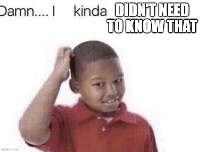 Damn I kinda don’t meme | DIDN'T NEED TO KNOW THAT | image tagged in damn i kinda don t meme | made w/ Imgflip meme maker
