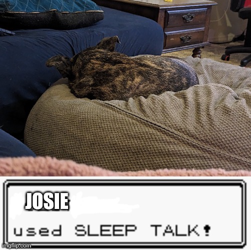 She almost always sleep talks XD | JOSIE | image tagged in sleep talk | made w/ Imgflip meme maker