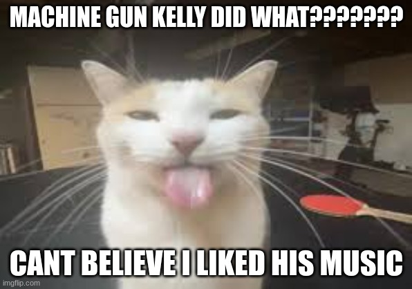 Cat | MACHINE GUN KELLY DID WHAT??????? CANT BELIEVE I LIKED HIS MUSIC | image tagged in cat | made w/ Imgflip meme maker