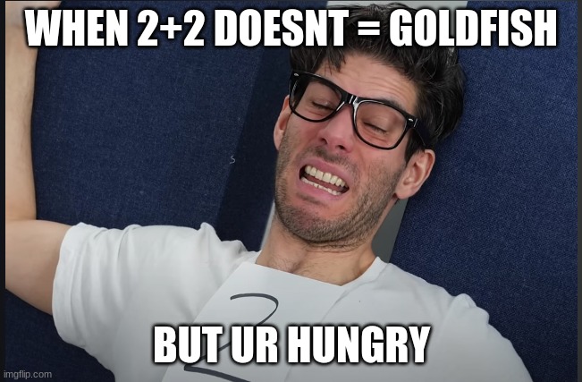 painful can anyone relate | WHEN 2+2 DOESNT = GOLDFISH; BUT UR HUNGRY | image tagged in goldfish | made w/ Imgflip meme maker