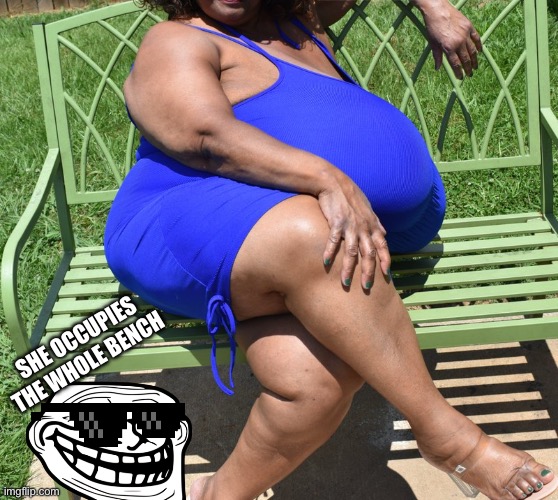 A ton of boobs | SHE OCCUPIES THE WHOLE BENCH | image tagged in bbw,big boobs | made w/ Imgflip meme maker