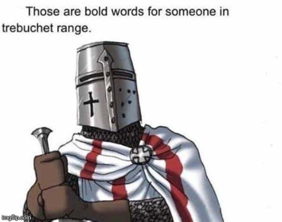 Those are bold words for someone in trebuchet range | image tagged in those are bold words for someone in trebuchet range | made w/ Imgflip meme maker