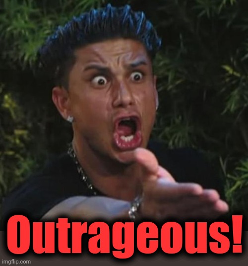 DJ Pauly D Meme | Outrageous! | image tagged in memes,dj pauly d | made w/ Imgflip meme maker