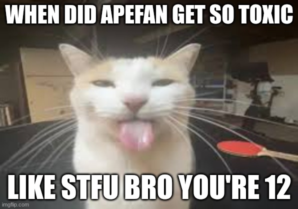 Cat | WHEN DID APEFAN GET SO TOXIC; LIKE STFU BRO YOU'RE 12 | image tagged in cat | made w/ Imgflip meme maker