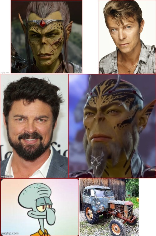 Celebrity Lookalikes | image tagged in blank white template,bg3 celebrities | made w/ Imgflip meme maker