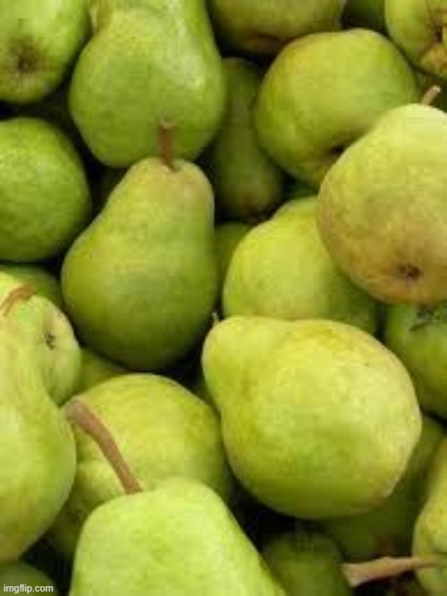 PEARS IS THE FRUIT | image tagged in pears is the fruit | made w/ Imgflip meme maker