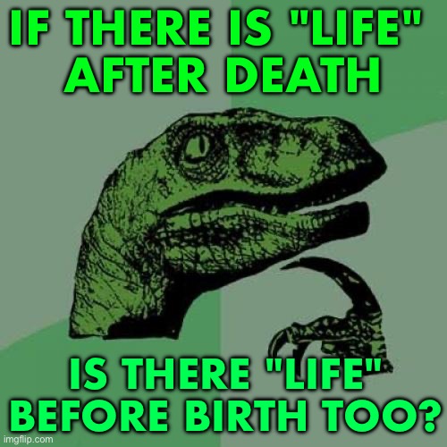 Is There "Life" Before Birth Too? | IF THERE IS "LIFE" 
AFTER DEATH; IS THERE "LIFE" BEFORE BIRTH TOO? | image tagged in memes,philosoraptor | made w/ Imgflip meme maker