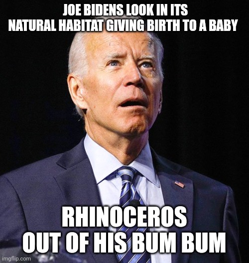 Joe Biden | JOE BIDENS LOOK IN ITS NATURAL HABITAT GIVING BIRTH TO A BABY; RHINOCEROS OUT OF HIS BUM BUM | image tagged in joe biden | made w/ Imgflip meme maker