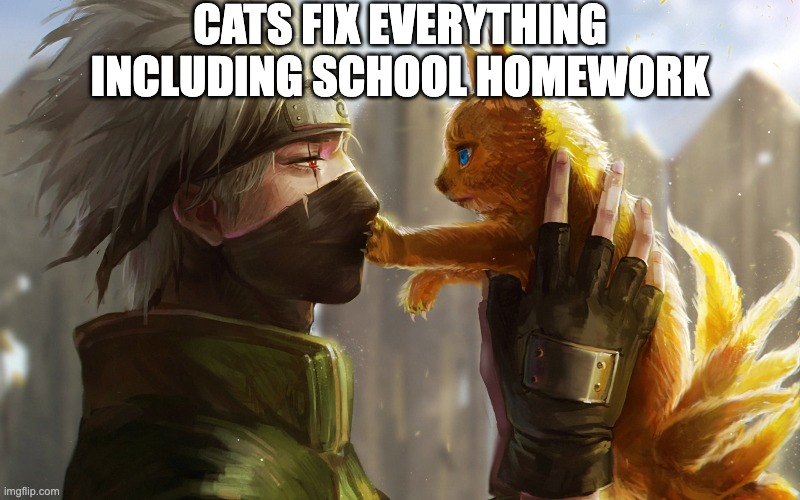 CATS FIX EVERYTHING
INCLUDING SCHOOL HOMEWORK | made w/ Imgflip meme maker