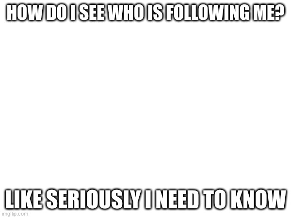 Someone please tell me | HOW DO I SEE WHO IS FOLLOWING ME? LIKE SERIOUSLY I NEED TO KNOW | image tagged in blank white template,question | made w/ Imgflip meme maker