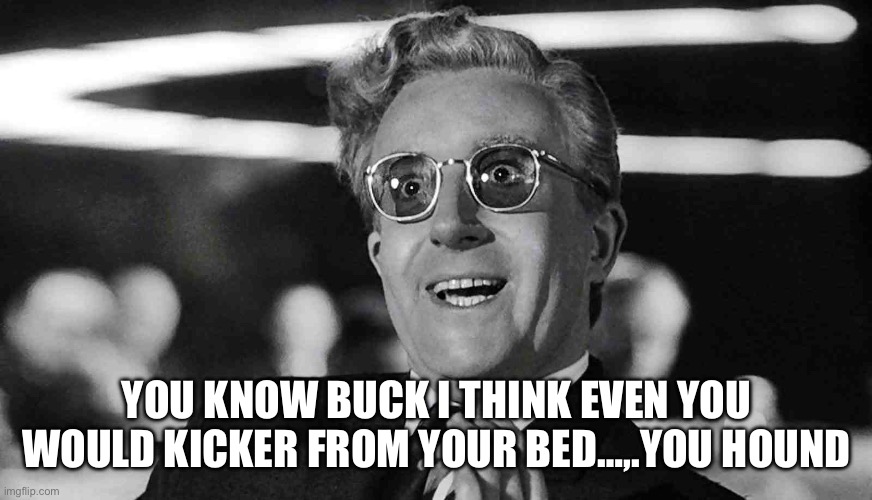 dr strangelove | YOU KNOW BUCK I THINK EVEN YOU WOULD KICKER FROM YOUR BED…,.YOU HOUND | image tagged in dr strangelove | made w/ Imgflip meme maker