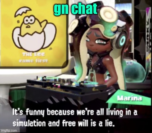 marina breaks the 4th wall | gn chat | image tagged in marina breaks the 4th wall | made w/ Imgflip meme maker
