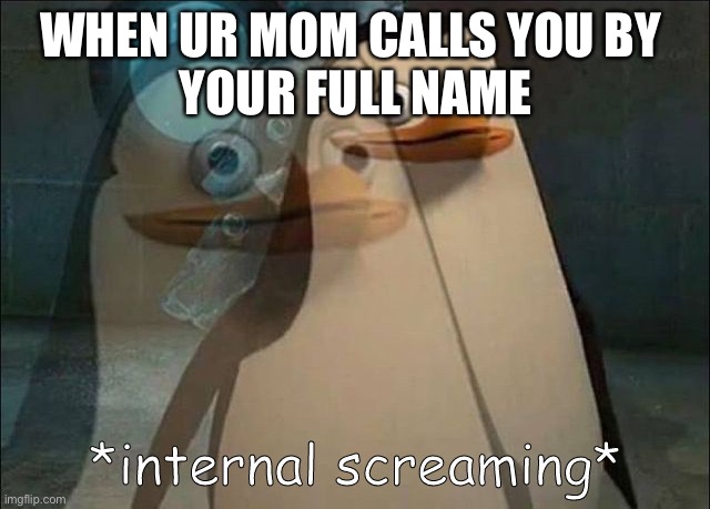 The felling in ur stomach tho | WHEN UR MOM CALLS YOU BY 
YOUR FULL NAME | image tagged in private internal screaming | made w/ Imgflip meme maker
