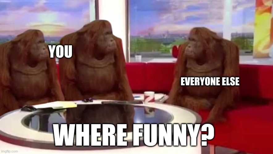 where monkey | YOU EVERYONE ELSE WHERE FUNNY? | image tagged in where monkey | made w/ Imgflip meme maker