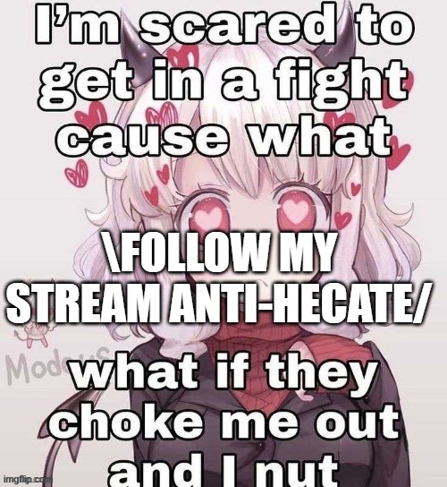 what if | \FOLLOW MY STREAM ANTI-HECATE/ | image tagged in what if | made w/ Imgflip meme maker