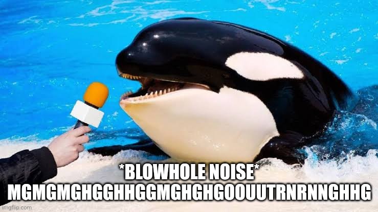 Idk I'm tired | *BLOWHOLE NOISE* MGMGMGHGGHHGGMGHGHGOOUUTRNRNNGHHG | image tagged in orca talking into a microphone | made w/ Imgflip meme maker