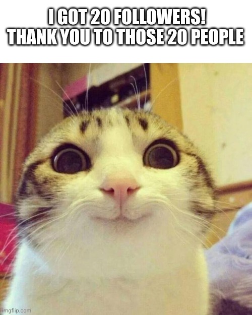 Smiling Cat | I GOT 20 FOLLOWERS! THANK YOU TO THOSE 20 PEOPLE | image tagged in memes,smiling cat | made w/ Imgflip meme maker