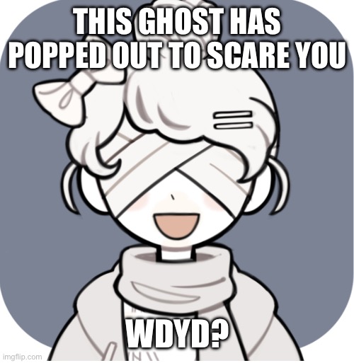 ? | THIS GHOST HAS POPPED OUT TO SCARE YOU; WDYD? | image tagged in no joke rp,no romance/erp | made w/ Imgflip meme maker