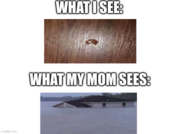 WHAT I SEE:; WHAT MY MOM SEES: | image tagged in blank | made w/ Imgflip meme maker