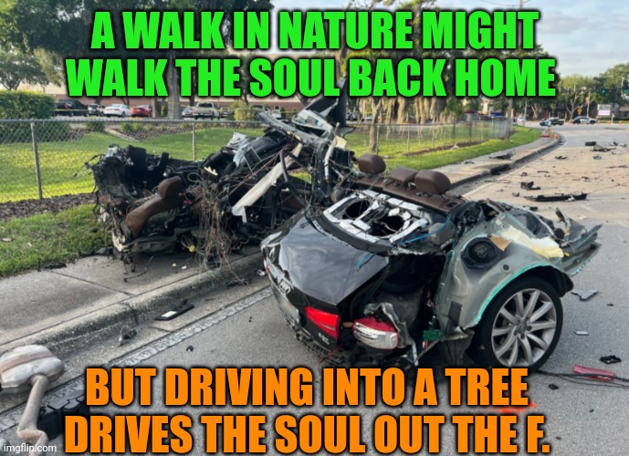 Meme | A WALK IN NATURE MIGHT WALK THE SOUL BACK HOME; BUT DRIVING INTO A TREE DRIVES THE SOUL OUT THE F. | image tagged in meme | made w/ Imgflip meme maker