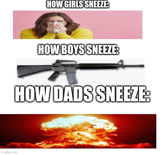 HOW GIRLS SNEEZE:; HOW BOYS SNEEZE:; HOW DADS SNEEZE: | image tagged in blank | made w/ Imgflip meme maker