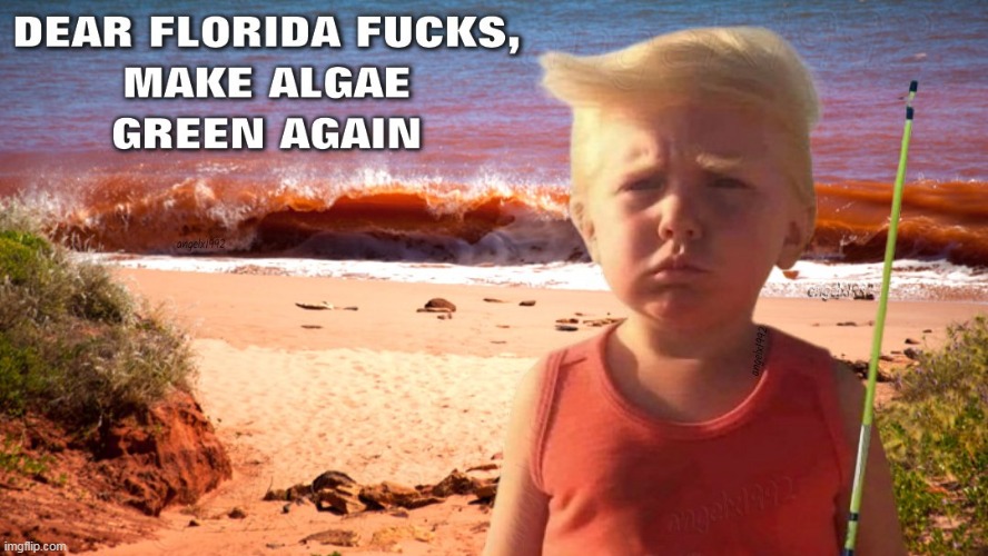 image tagged in florida,red tide,algae,maga morons,clown car republicans,beach | made w/ Imgflip meme maker