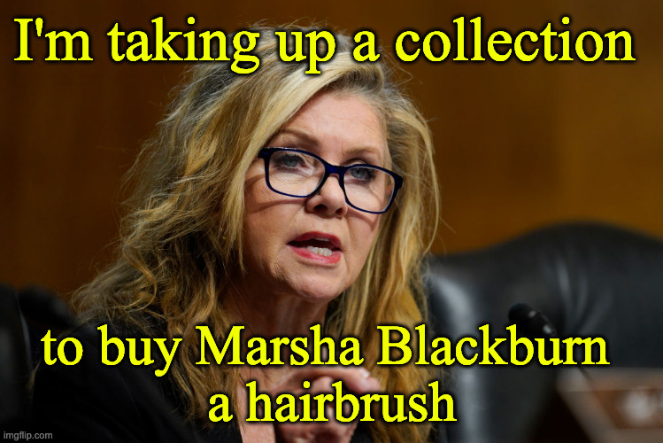 Blackburn Hairbrush | I'm taking up a collection; to buy Marsha Blackburn 
a hairbrush | image tagged in marsha blackburn | made w/ Imgflip meme maker