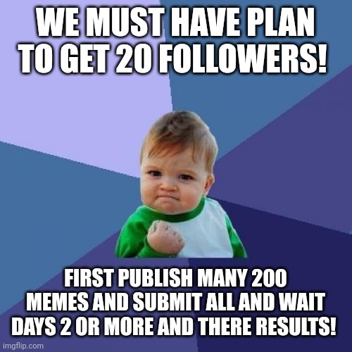 Success Kid Meme | WE MUST HAVE PLAN TO GET 20 FOLLOWERS! FIRST PUBLISH MANY 200 MEMES AND SUBMIT ALL AND WAIT DAYS 2 OR MORE AND THERE RESULTS! | image tagged in memes,success kid | made w/ Imgflip meme maker