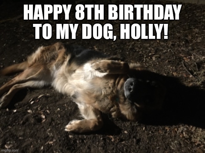 HAPPY 8TH BIRTHDAY TO MY DOG, HOLLY! | made w/ Imgflip meme maker