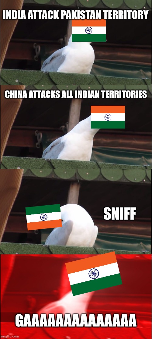 India | INDIA ATTACK PAKISTAN TERRITORY; CHINA ATTACKS ALL INDIAN TERRITORIES; SNIFF; GAAAAAAAAAAAAAA | image tagged in memes,inhaling seagull | made w/ Imgflip meme maker