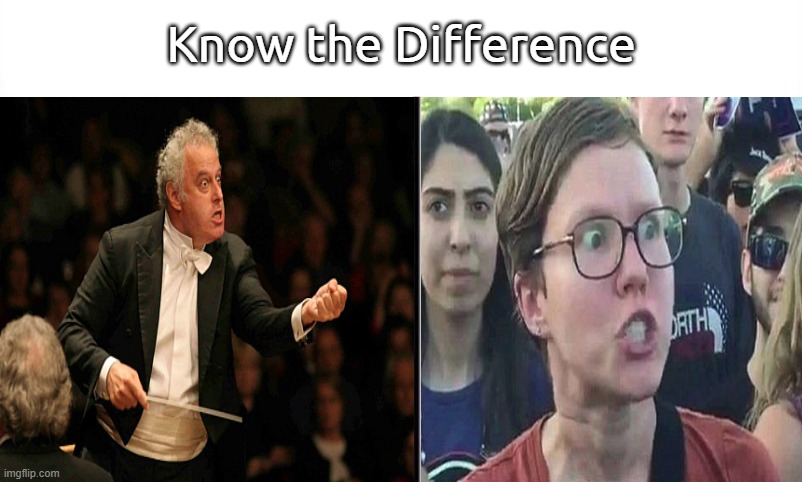 Triggered Centrist vs Triggered Liberal, Who Would Win. | Know the Difference | image tagged in know the difference psychic and side kick,offended conductor | made w/ Imgflip meme maker