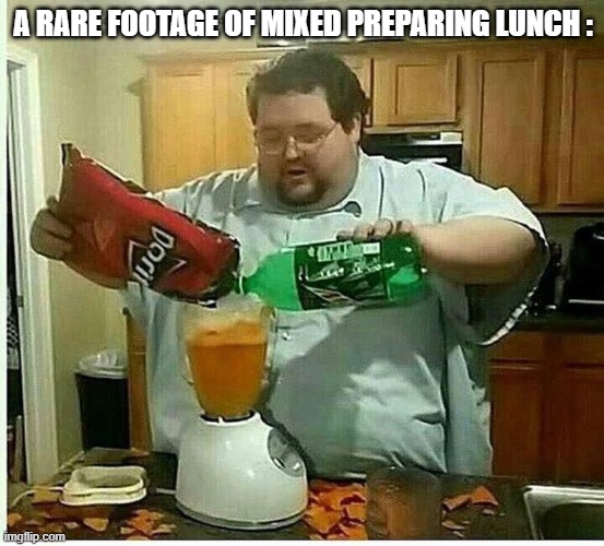 Lamo. | A RARE FOOTAGE OF MIXED PREPARING LUNCH : | image tagged in blender man man with blender | made w/ Imgflip meme maker