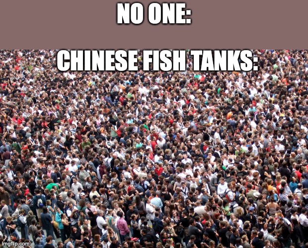I swear its crowded | NO ONE:; CHINESE FISH TANKS: | image tagged in crowd of people | made w/ Imgflip meme maker
