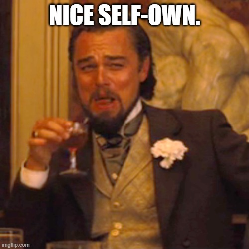 Laughing Leo Meme | NICE SELF-OWN. | image tagged in memes,laughing leo | made w/ Imgflip meme maker
