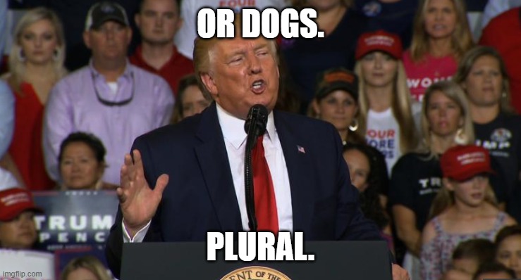 Trump Rally NC | OR DOGS. PLURAL. | image tagged in trump rally nc | made w/ Imgflip meme maker