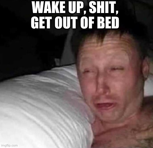 Morning Routine | WAKE UP, SHIT, GET OUT OF BED | image tagged in sleepy guy,fresh memes,funny,memes | made w/ Imgflip meme maker