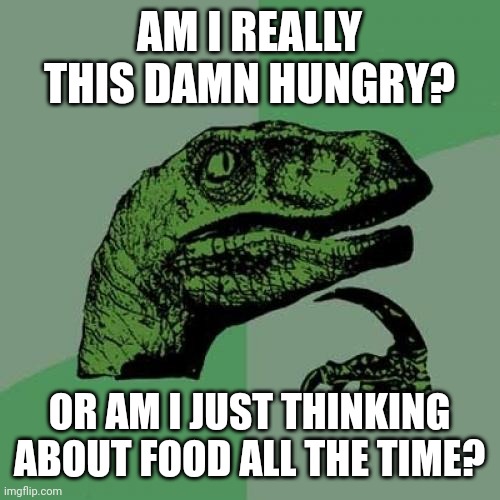 Just a shower thought from outside the shower | AM I REALLY THIS DAMN HUNGRY? OR AM I JUST THINKING ABOUT FOOD ALL THE TIME? | image tagged in memes,philosoraptor | made w/ Imgflip meme maker