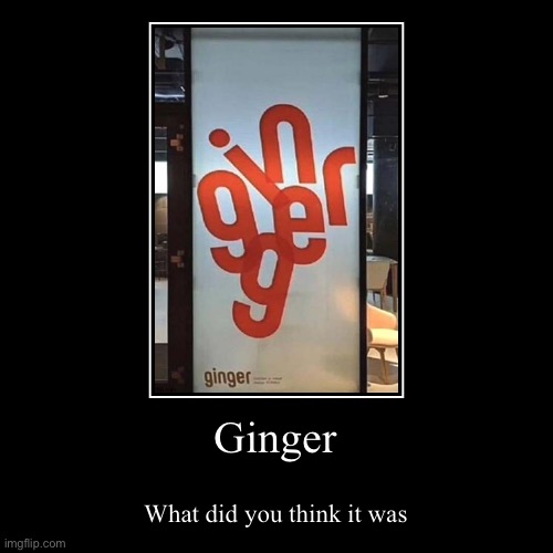 Ginger | What did you think it was | image tagged in funny,demotivationals | made w/ Imgflip demotivational maker