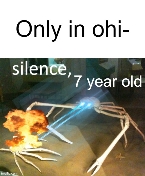 Why are there some kids that still use Only in Ohio | Only in ohi-; 7 year old | image tagged in memes,silence crab | made w/ Imgflip meme maker