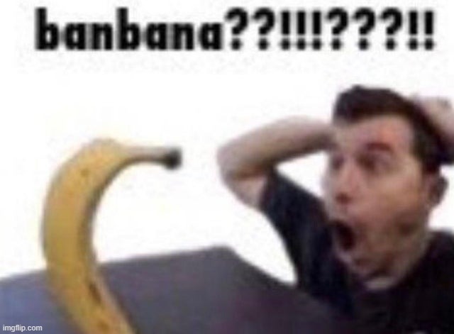 banbana??!?!? | image tagged in banbana,funny | made w/ Imgflip meme maker