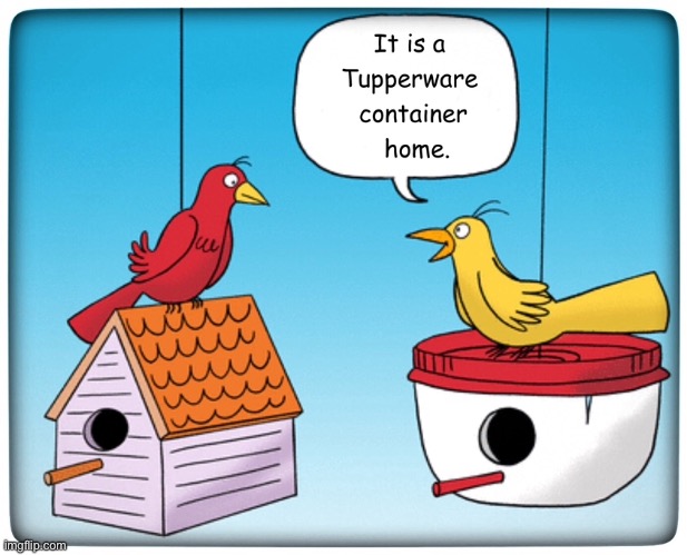 Container home | image tagged in home,tupperware,container,birds,comics | made w/ Imgflip meme maker